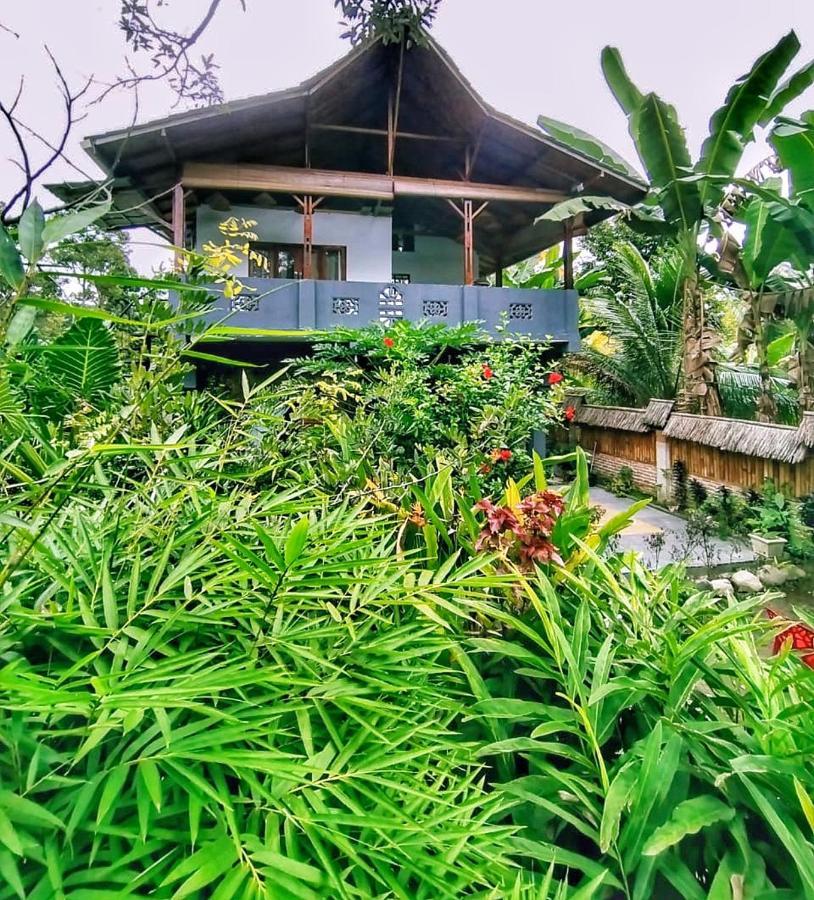 Sumatra Orangutan Discovery Villa Bukit Lawang Luaran gambar