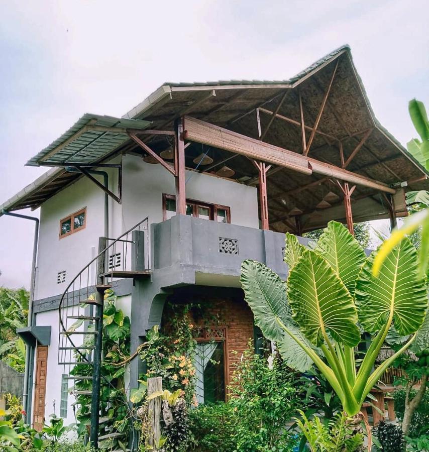 Sumatra Orangutan Discovery Villa Bukit Lawang Luaran gambar