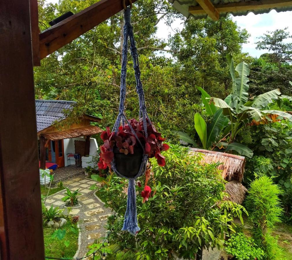 Sumatra Orangutan Discovery Villa Bukit Lawang Luaran gambar