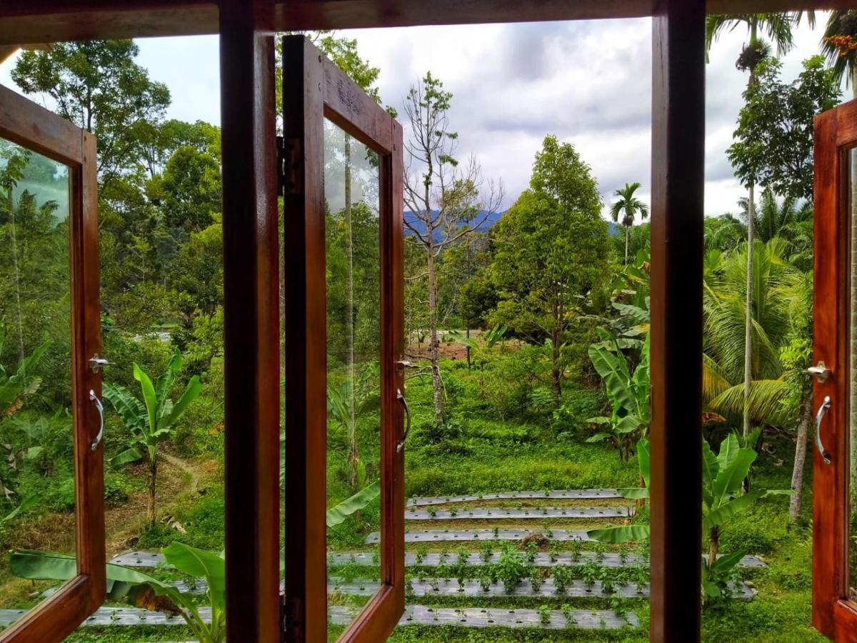 Sumatra Orangutan Discovery Villa Bukit Lawang Luaran gambar