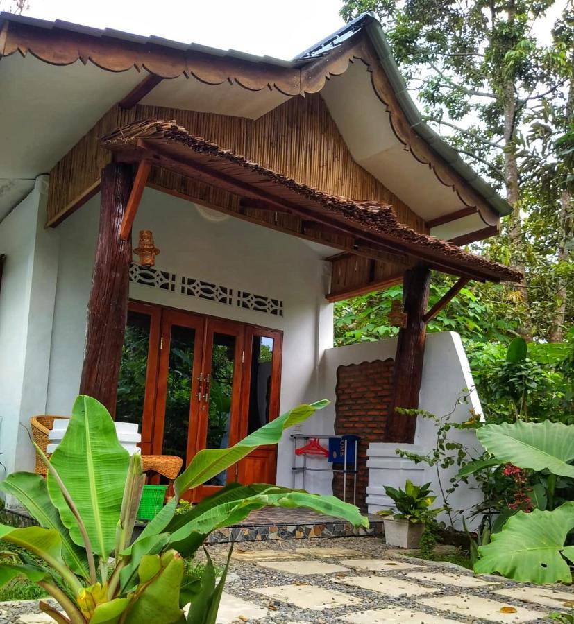 Sumatra Orangutan Discovery Villa Bukit Lawang Luaran gambar