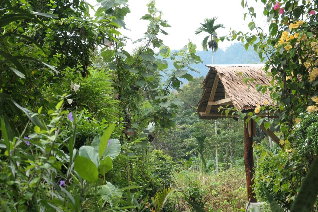 Sumatra Orangutan Discovery Villa Bukit Lawang Luaran gambar