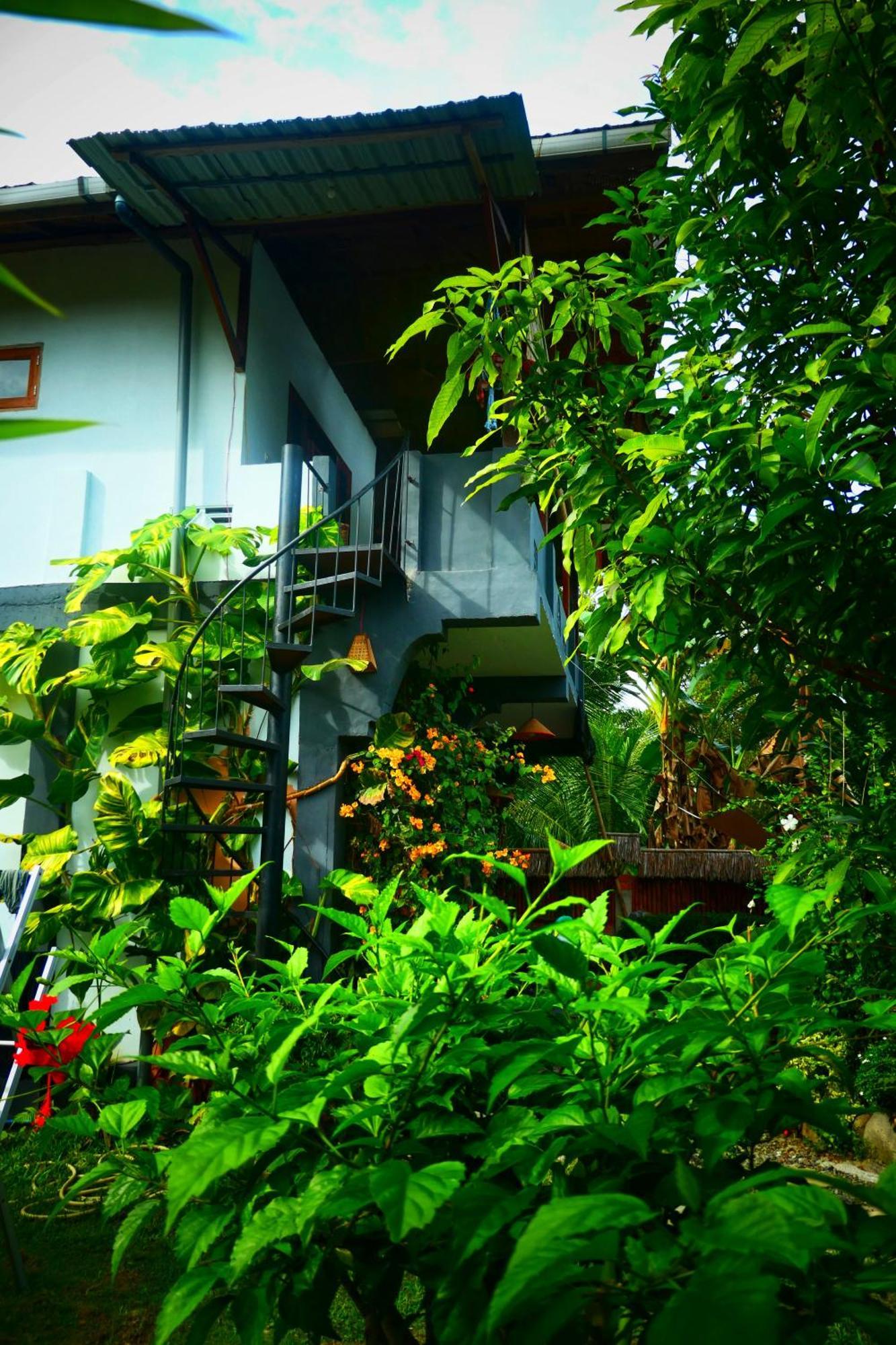 Sumatra Orangutan Discovery Villa Bukit Lawang Bilik gambar